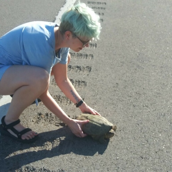 Meet your Posher, Krickett - Picture 3 of 4